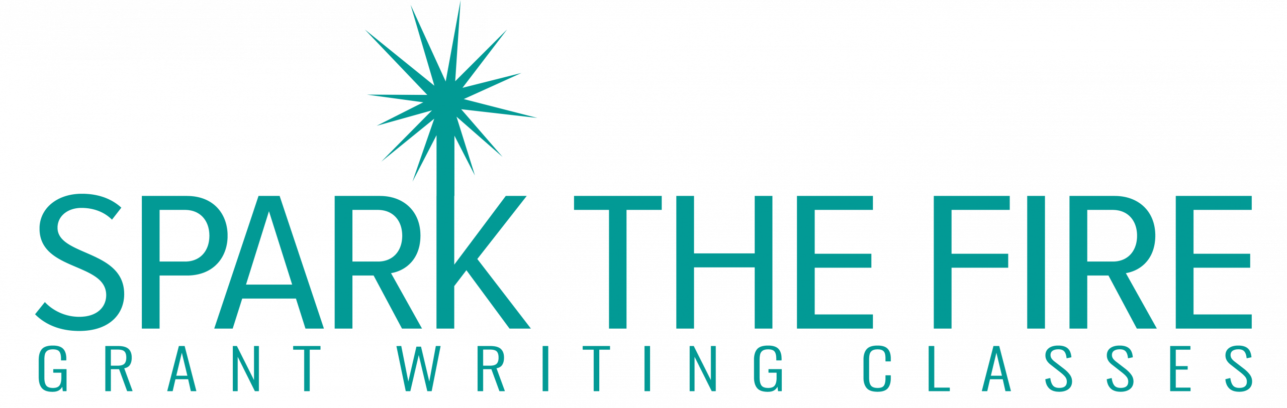 spark-the-fire-logo-horizontal-teal